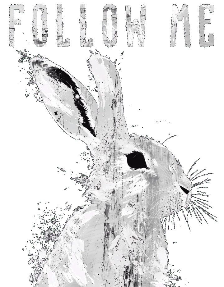 White rabbit painted beneath the words Follow Me